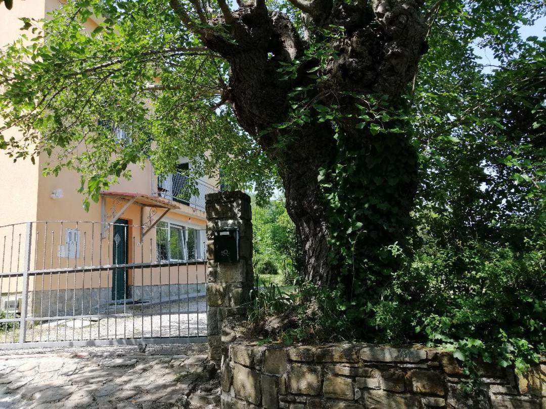 Murva Koper Exterior foto